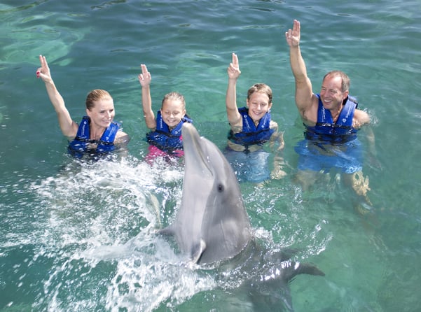 swim-with-dolphins-all-inclusive-xcaret.png