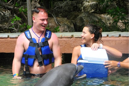 swim-with-dolphins-in-Cancun-proposal