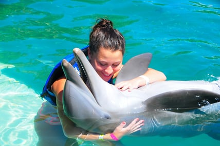 swim-with-dolphins-in-Cancun-proposal