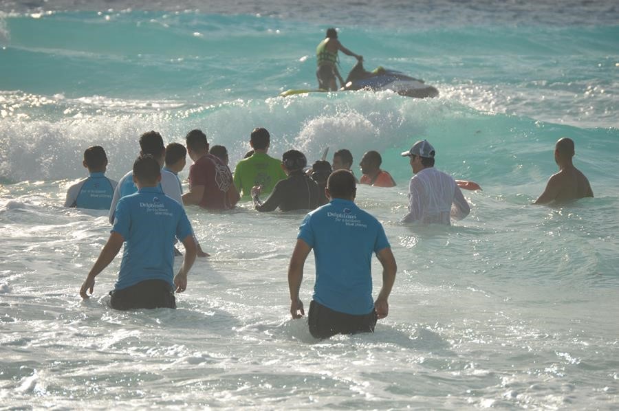 dolphin-rescue-on-cancun