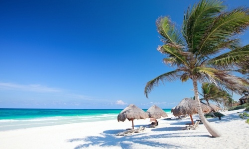 swimming-with-dolphins-in-cancun-tulum-playa-paraiso.jpg