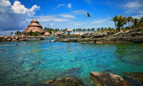 swimming-with-dolphins-in-cancun-tulum-xel-ha.jpg