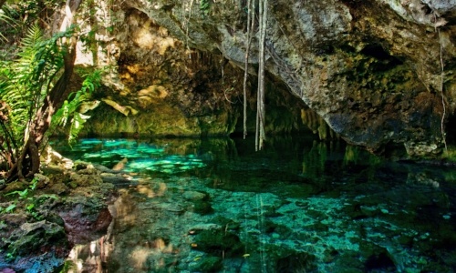 swimming-with-dolphins-in-cancun-tulum