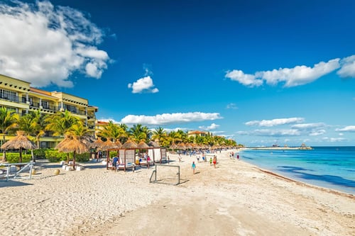 swimming-with-dolphins-in-puerto-morelos-beaches