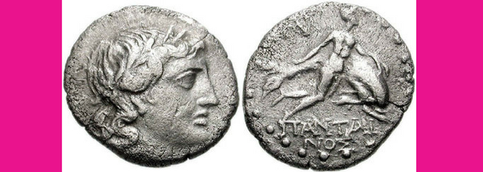 nado-con-delfines-en-cancun-mitologia