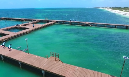 nado-con-delfines-playa-mujeres.jpg