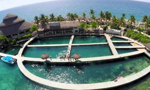 nado-con-delfines-en-puerto-morelos