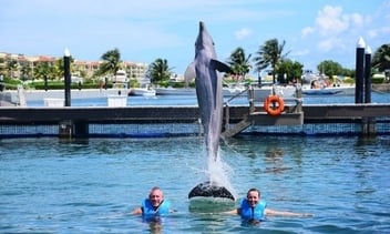Delphinus-Puerto-Morelos-nadar-delfines