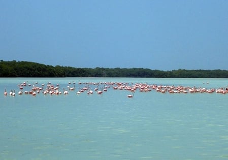 playa-secreta-celestun.jpg