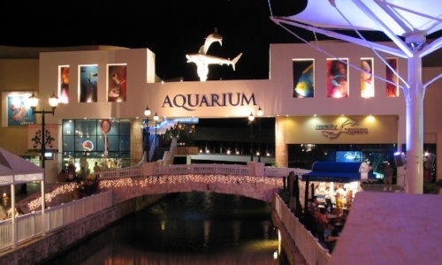 living-in-cancun-interactive-acuarium-of-cancun