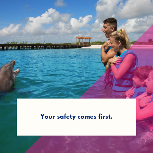 nadar-con-delfines-por-primera-vez (2)