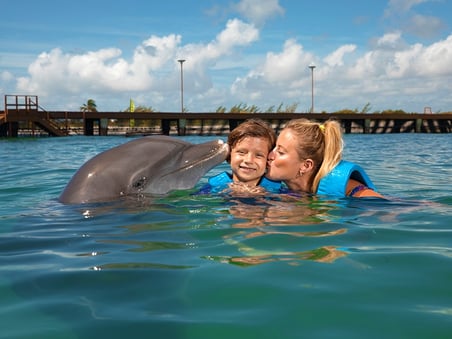 nature-connection-nado-con-delfines.jpg