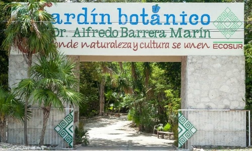 puerto-morelos-jardin-botanico.jpg