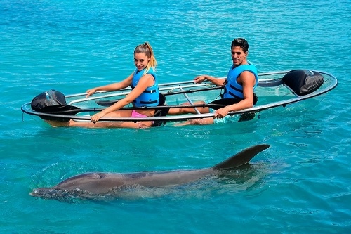 puerto-morelos-nature-connection.jpg