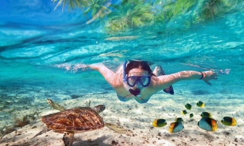 snorkel-puerto-morelos.jpg