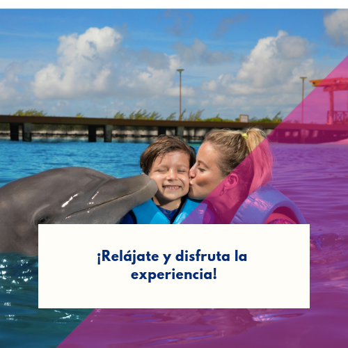 nadar-con-delfines-por-primera-vez (1)
