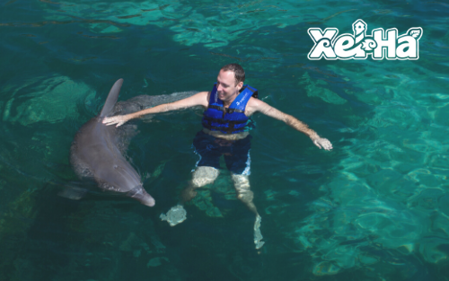 Delphinus-swim-with-dolphins-in-xel-ha-sanctuary