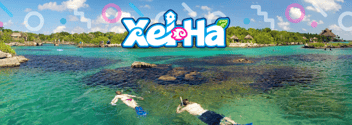 Delphinus-xel-ha-6-facts-swim-with-dolphins
