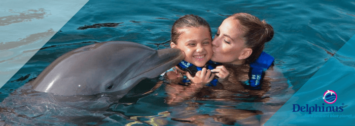 Delphinus kiss