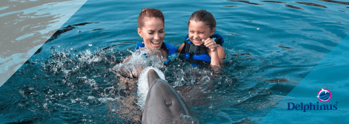 Delphinus splash wars