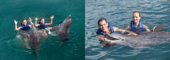 Delphinus Cancun romance 02