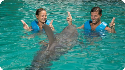 Delphinus Couples