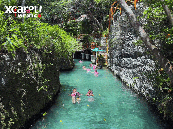 Delphinus Xcaret paquetes nado con delfines