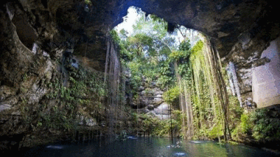 Delphinus Xel-Ha atracciones cenotes