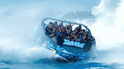 Delphinus Xel-Ha atracciones speedboat