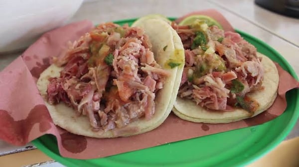 Delphinus El Polilla tacos