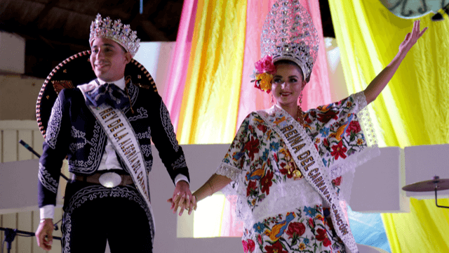 Delphinus festivales anuales Carnaval