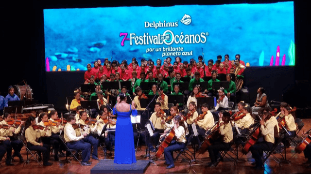 Delphinus festivales anuales océanos