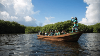 Delphinus parques Q Roo Maya Tours
