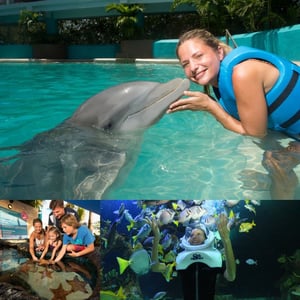 Delphinus Acuario Interactivo actividades con lluvia en Cancun