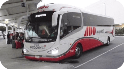 Delphinus autobus