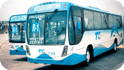 Delphinus-camion