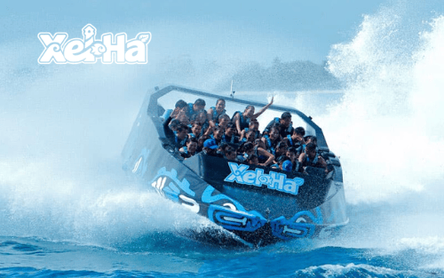 Delphinus actividad extra Xel-Ha adrenalina