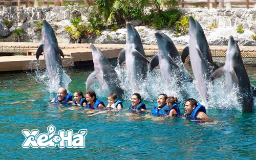 Delphinus actividad extra Xel-Ha nado con delfines