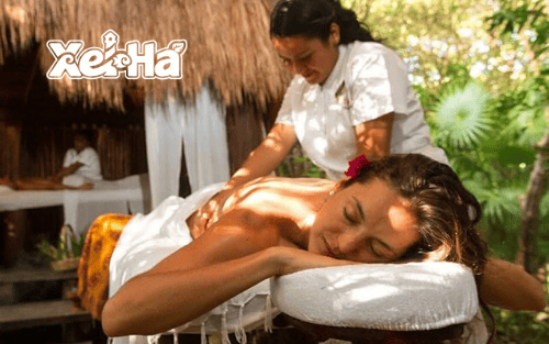 Delphinus actividad extra Xel-Ha spa