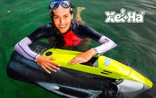 Delphinus actividad extra Xel-Ha xnorkel