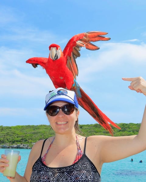Delphinus-Xel-Ha-fotos-photos-Instagram-amor-guacamaya