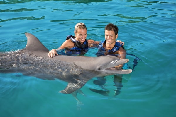 Delphinus-Xel-Ha-fotos-photos-Instagram-nado-con-delfines