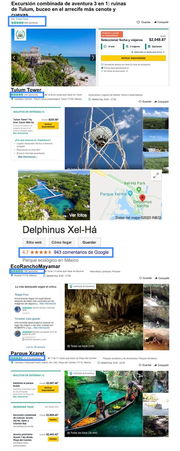 Delphinus-atracciones-mejor-calificadas-Riviera-Maya