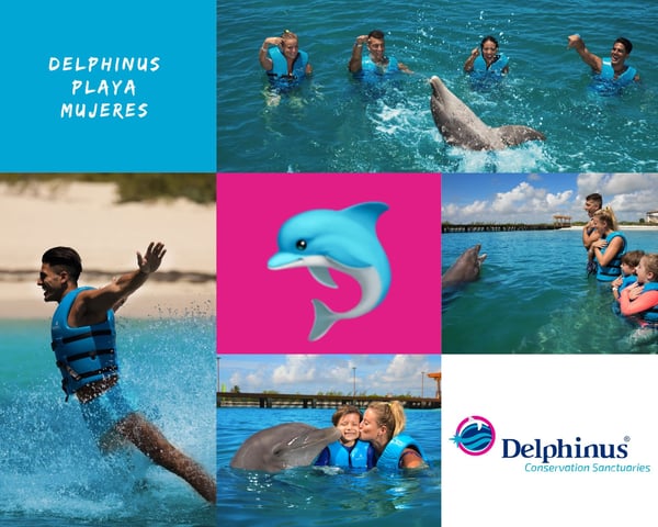 Collage Delphinus Playa Mujeres