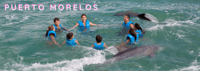 Delphinus mejores lugares nado con delfines Puerto Morelos