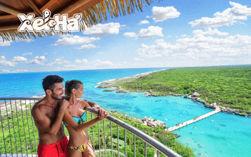 Delphinus tips primera visita Xel-Ha