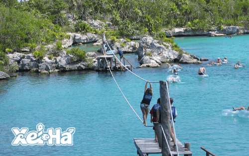 Delphinus-nado-con-delfines-Xel-ha-acuario-tirolesa