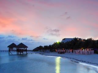 playa-maroma-swim-with-dolphins.jpg