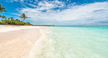 swim-with-dolphins-akumal.jpg