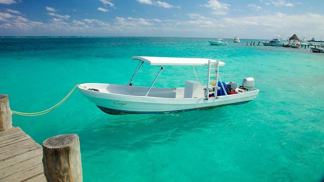 swim-with-dolphins-puerto-morelos.jpg